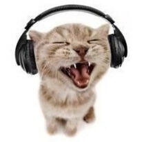 A tabby cat wearing headphones, meowing at the camera.
